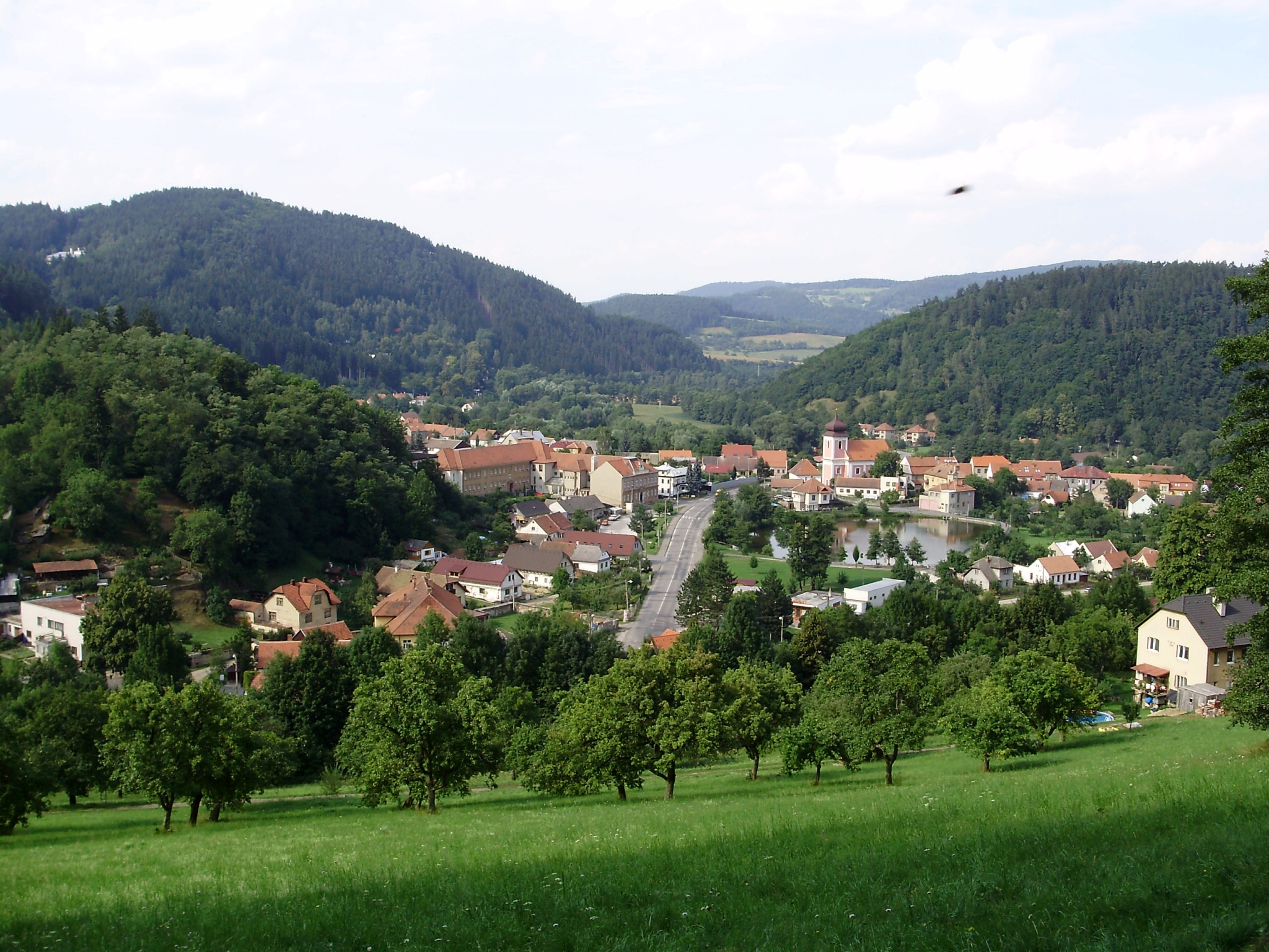 Nedvědice - foceno z kopce nad městysem, foto Pernak 1, Wikimedia Commons, licence CC BY-SA 3.0